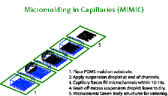 MicroMolding in Capillaries (MMC)