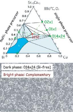 Novel precursors of 2:2:1:2 stoichiometry but not Bi-2212 phase composition